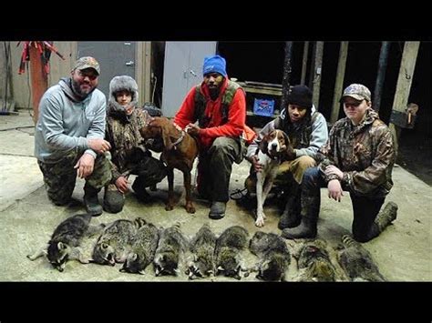 coon dog harden test|best coon for hunting.